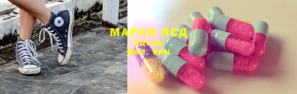 PSILOCYBIN Абаза