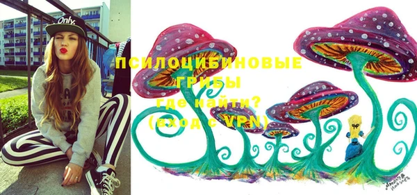 прущие крисы Абинск