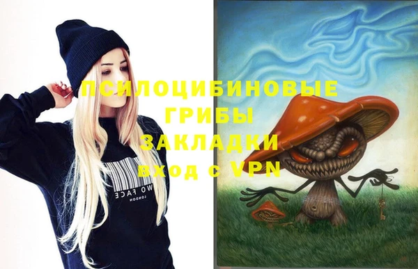 PSILOCYBIN Абаза